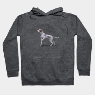 The Pointer Hoodie